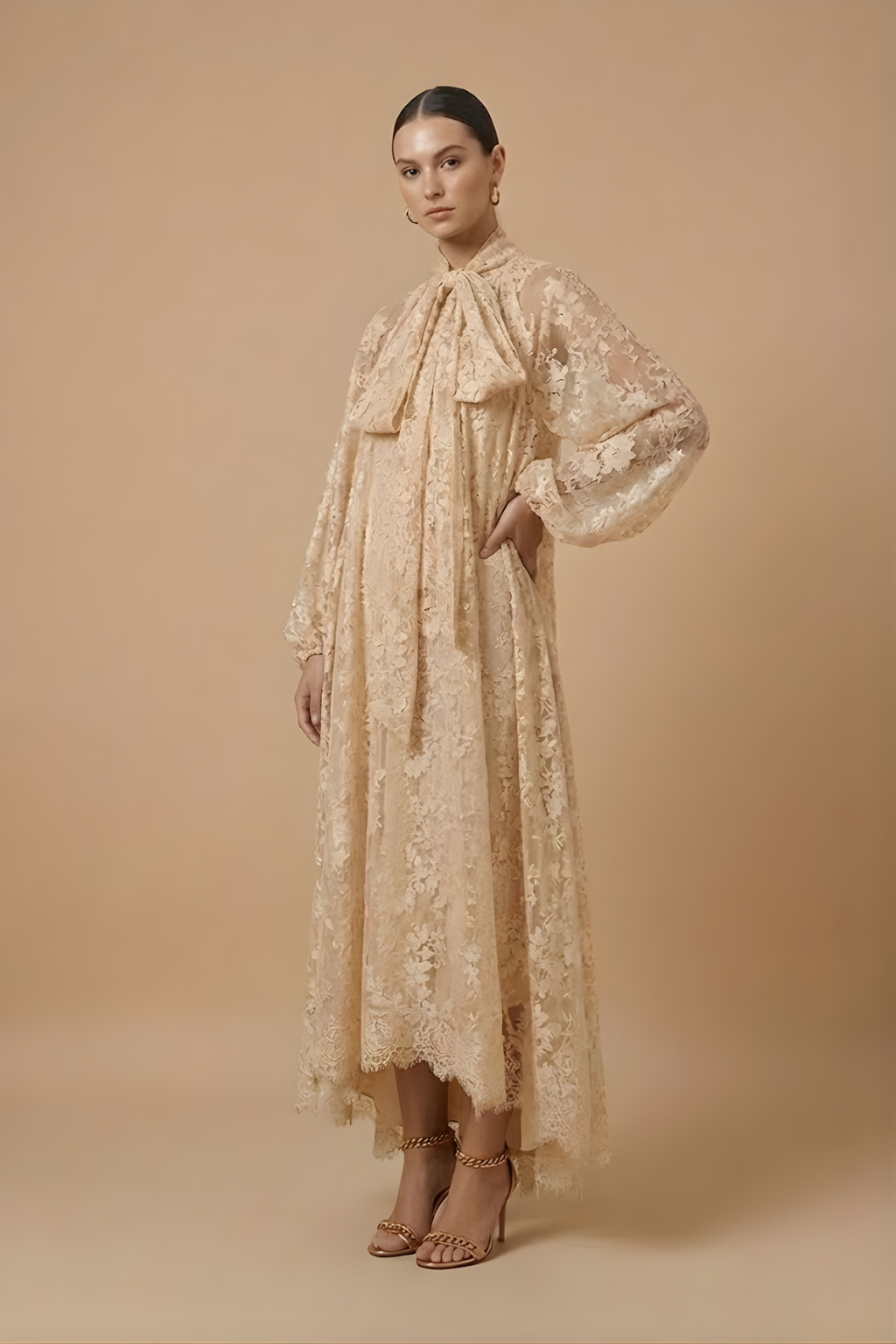 Women’s Elegant Maxi Dress – Sheer Lace Design with High Neck, Long Sleeves and Ribbon Detail