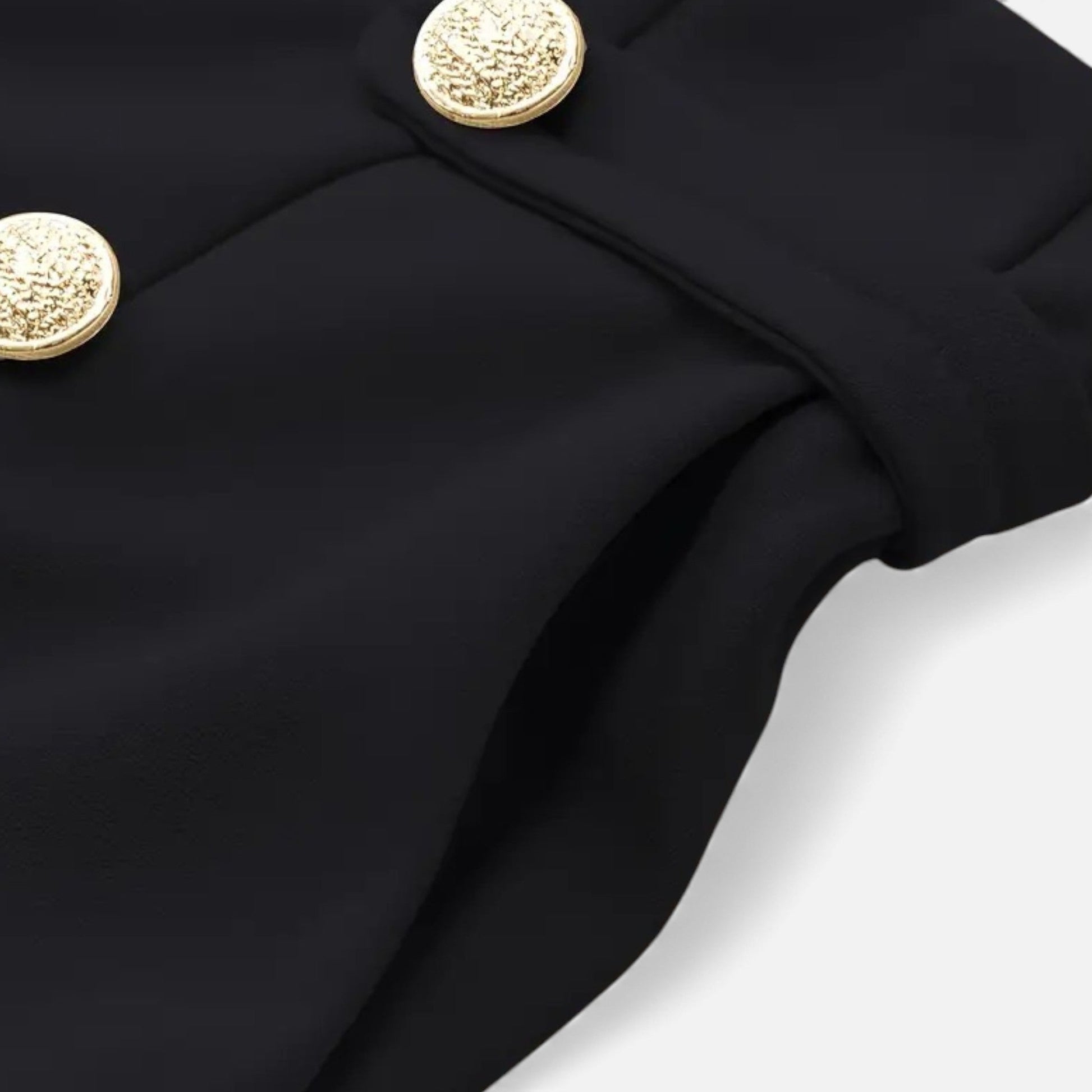 Women’s Wide-Leg High-Waist Trousers - Sofia Maris